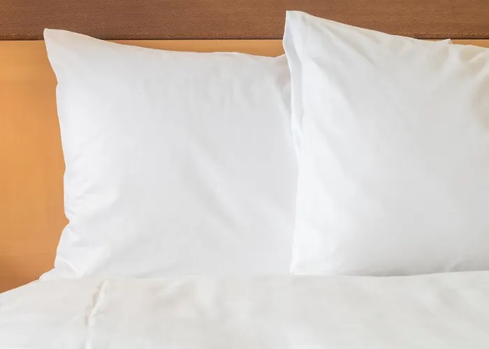 Express & - Bullhead By Ihg 3*